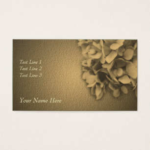 Fleur Sepia Hydrangea âgée