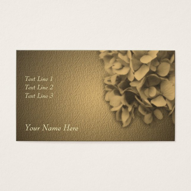 Fleur Sepia Hydrangea âgée (Devant)