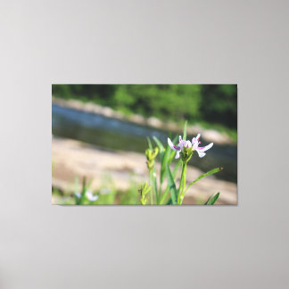 Fleur soutenue par la toile de rivière Imprimer