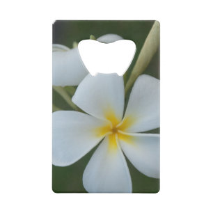 Fleur Tropicale Blanche De Fidji