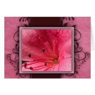 Fleur tropicale rose de ketmie