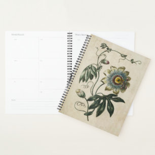 Fleur vintage de Passion Florale Botanique