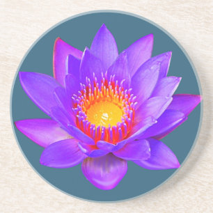 Fleur violet Lotus sur Dessous de verre bleu