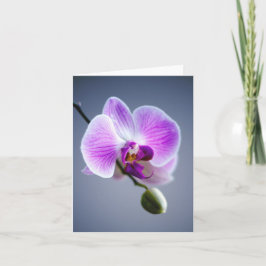 Fleur violette, ORCHID et bourgeon sur la carte de