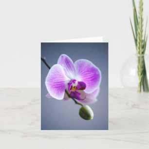 Fleur violette, ORCHID et bourgeon sur la carte de