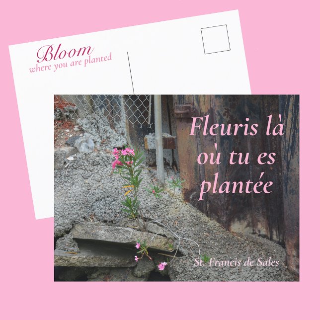 Fleuris là où tu es plantée Pink Floral Postkarte (Von Creator hochgeladen)