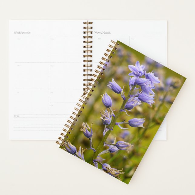 Fleurs (Devant avec enveloppe)