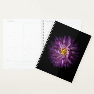 Fleurs 20