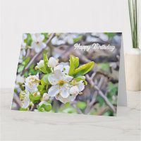 Fleurs blanches minuscules - Carte Anniversaire