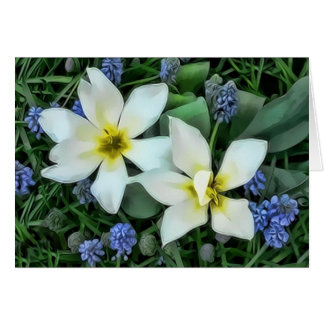 Fleurs - Bleu et Blanc