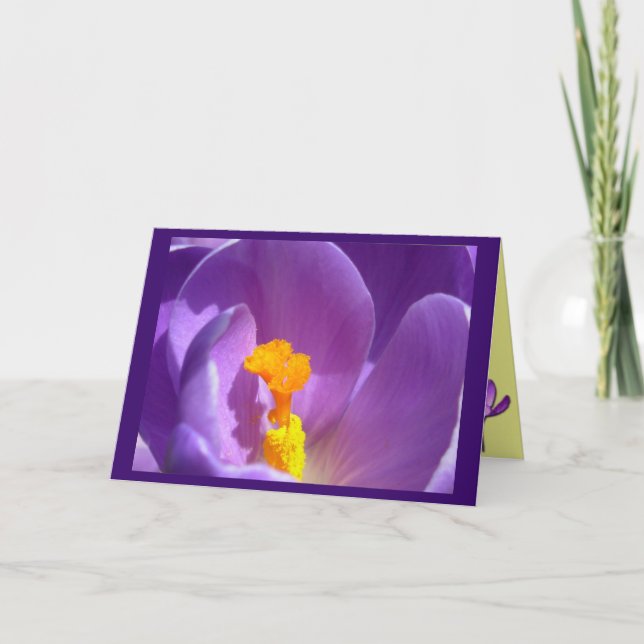 Fleurs Cartes Fleurs Crocus Fleurs Carte de voeux  (Devant)