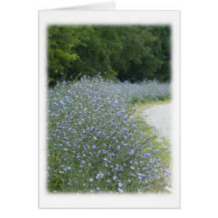 Fleurs chicorées Carte de remerciements vierge
