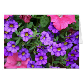 [Fleurs colorées] Carte Calibrachoa violet