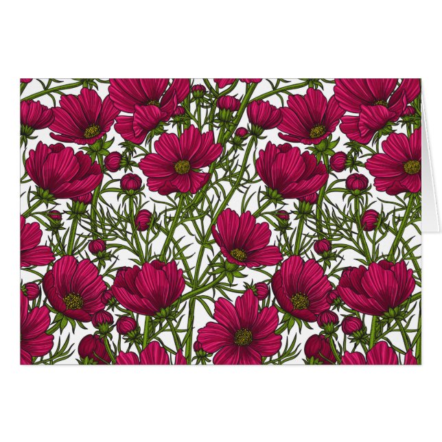 Fleurs Cosmos roses (Devant horizontal)