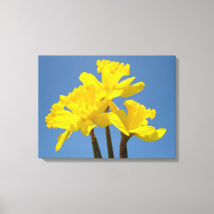 Fleurs Daddofil Impressions sur toile Ciel Bleu
