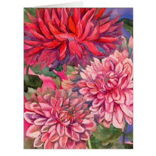 fleurs dahlias