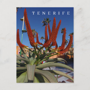 Fleurs d'Aloe Vera de Tenerife carte postale