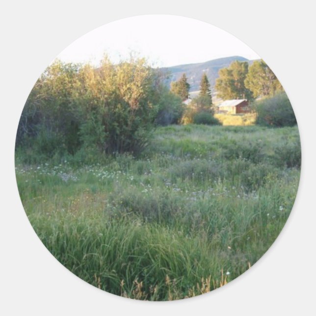 fleurs dans Colorado autocollant (Devant)