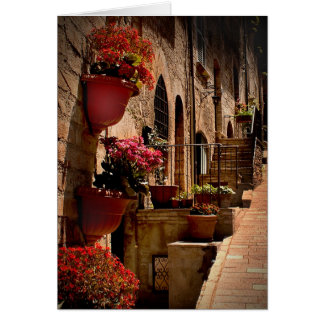 Fleurs dans la rue Assisi Italty