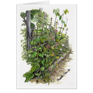 fleurs dans la voie