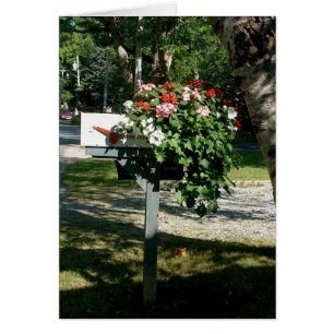 Fleurs dans le courrier