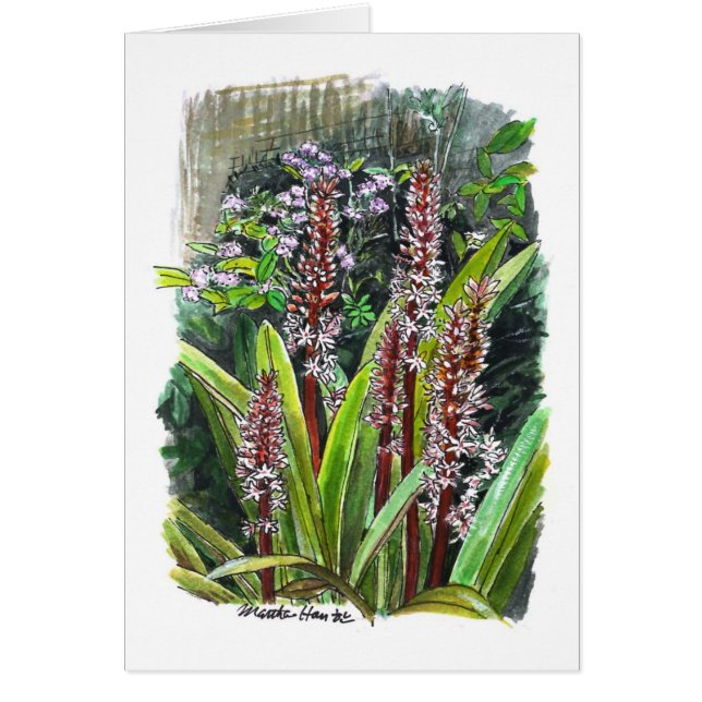 Fleurs dans un jardin (Devant)