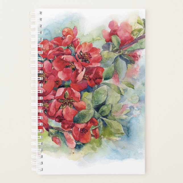 Fleurs d'aquarelle fleurs de coing rouge pomme ill (Devant)
