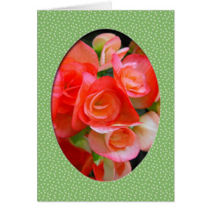 fleurs de bégonia rouge