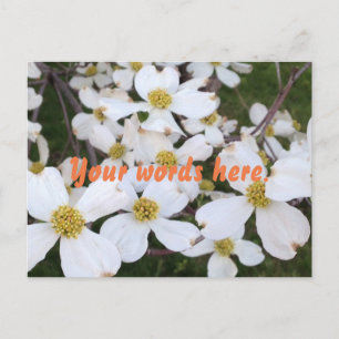 Fleurs de bois de chien blanc Vos mots Cartes post