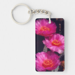 Fleurs de Cactus Beavertail 2