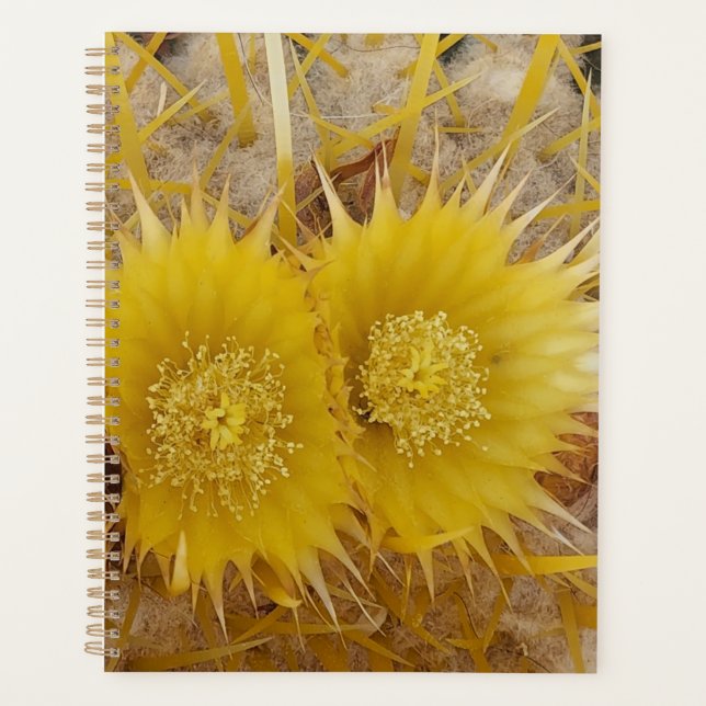 Fleurs de cactus vibrantes en fleur de fleur de fl (Devant)
