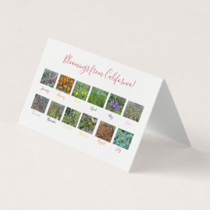 Fleurs de Californie !