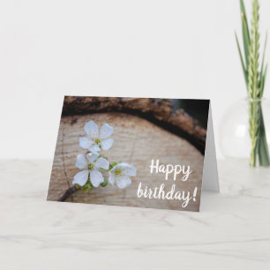 Fleurs de cerise sauvage Carte d'anniversaire