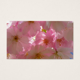 Fleurs de cerisier japonaises