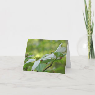 Fleurs de cornouiller personnalisées