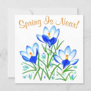 Fleurs de crocus sur carte blanche plate