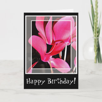 Fleurs de cyclamen de carte d'anniversaire dans le