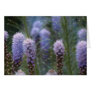 Fleurs de fusée pourpre cosmique