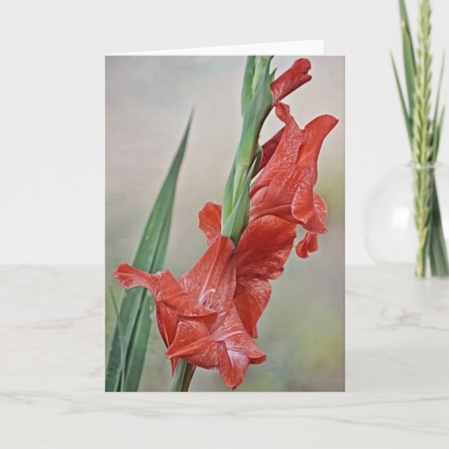 Fleurs de gladiolus rouge melon Carte de note (Devant)