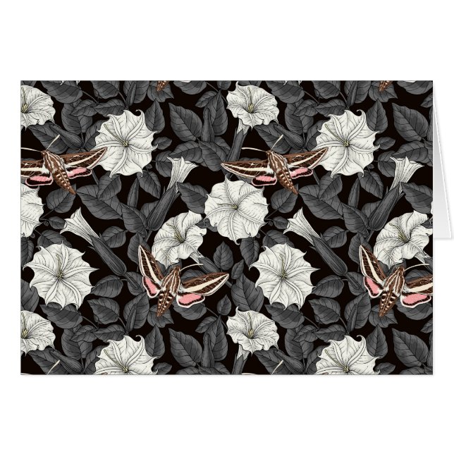 Fleurs de lune et sphinx Moths 2 (Devant horizontal)