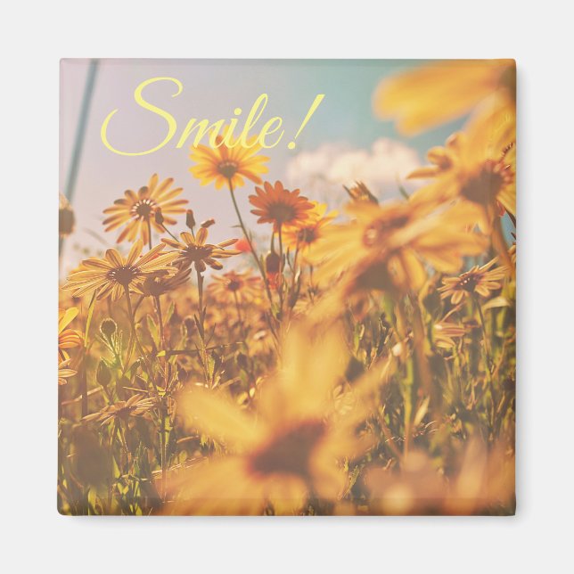 Fleurs de marguerite orange pastel Magnet Sourire (Devant)