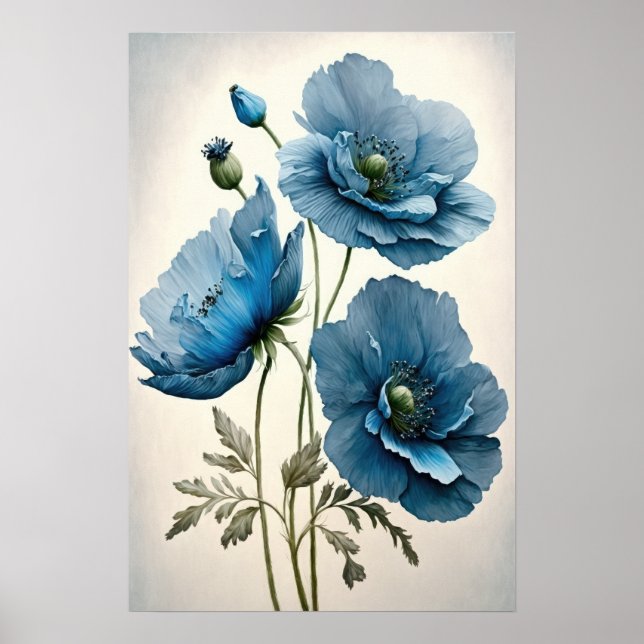 Fleurs de pavot bleu Art Imprimer Poster (Devant)