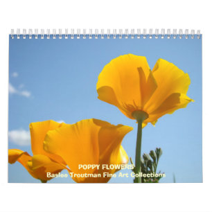 Fleurs de PAVOT de calendrier de pavots de