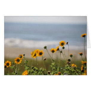 Fleurs de plage sur l'île de Galveston