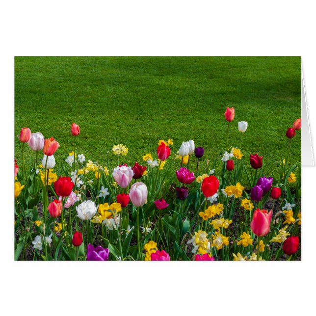 Fleurs de printemps (Devant horizontal)