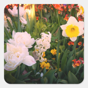 Fleurs de printemps #1-2 Stickers