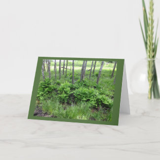 Fleurs de printemps dans le Wisconsin Carte de not