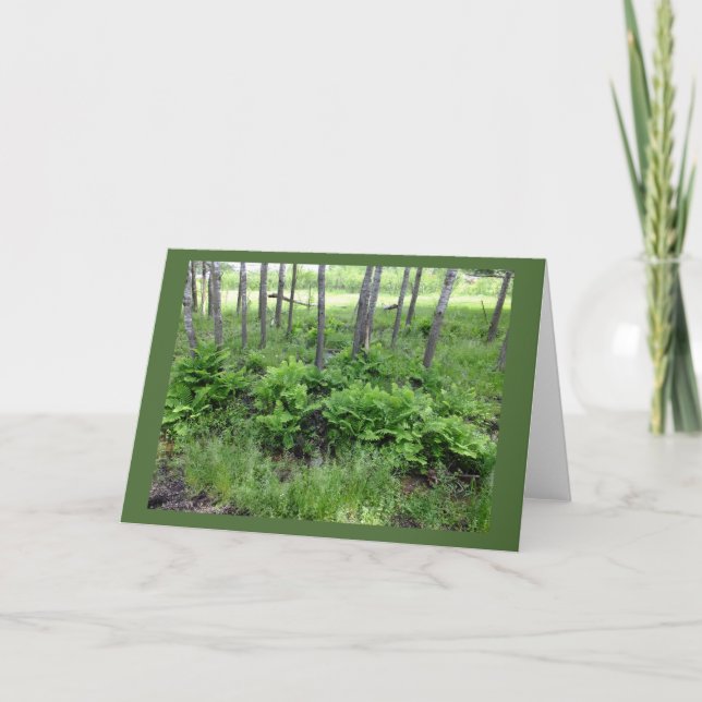 Fleurs de printemps dans le Wisconsin Carte de not (Devant)