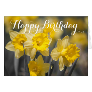 Fleurs de printemps jaunes | Carte de voeux Daffod