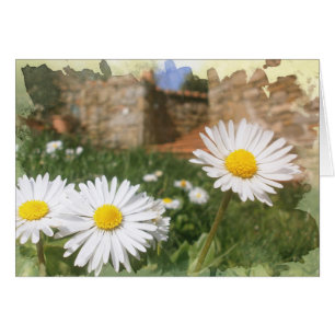 Fleurs de ressort